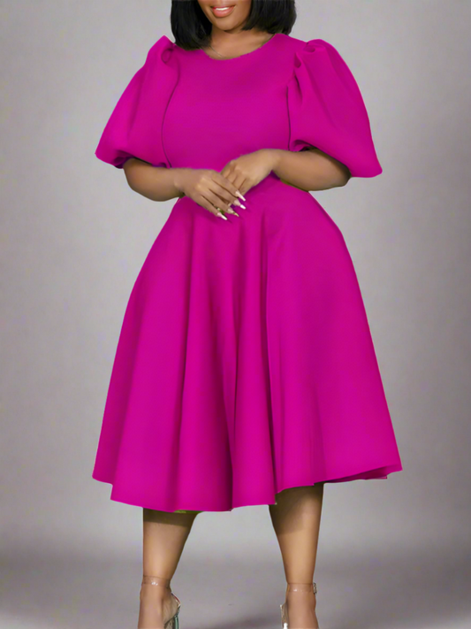 Princess Fit and Flare Midi Dress