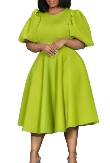 Princess Fit and Flare Midi Dress